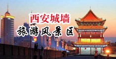 美女嫩b中国陕西-西安城墙旅游风景区