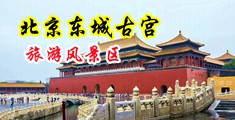 骚逼视频线看w中国北京-东城古宫旅游风景区